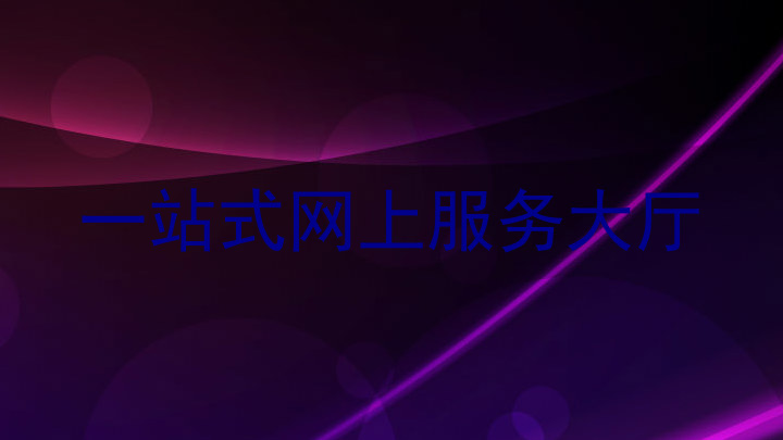 一站式网上服务大厅