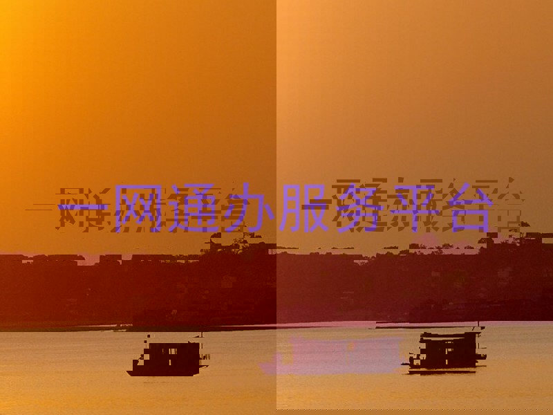 一网通办服务平台