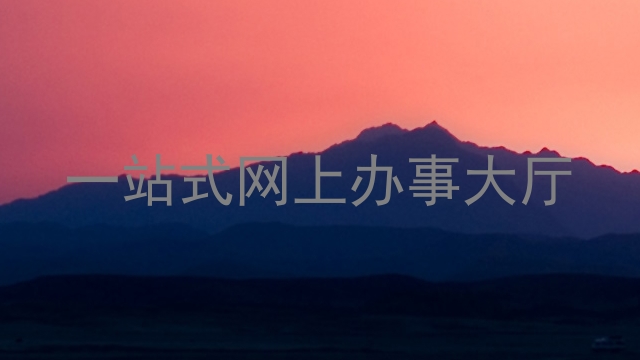 一站式网上办事大厅