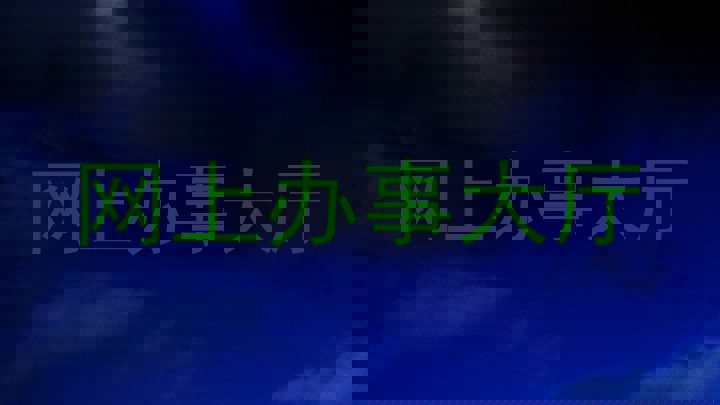 网上办事大厅