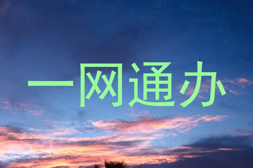 一网通办