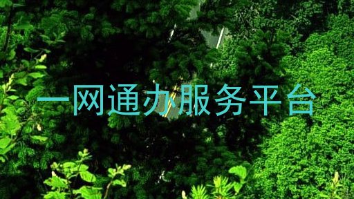 一网通办服务平台