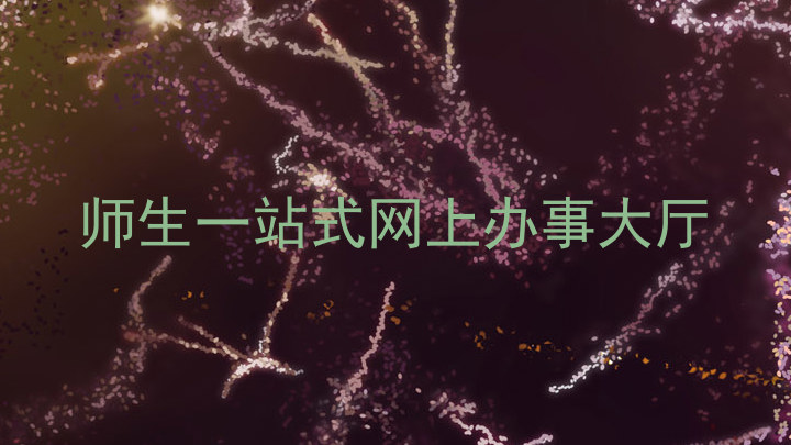 师生一站式网上办事大厅