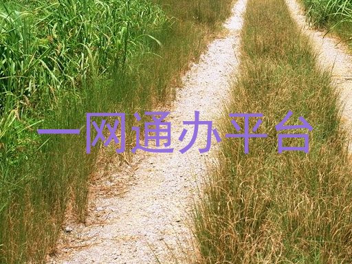 师生一网通办平台