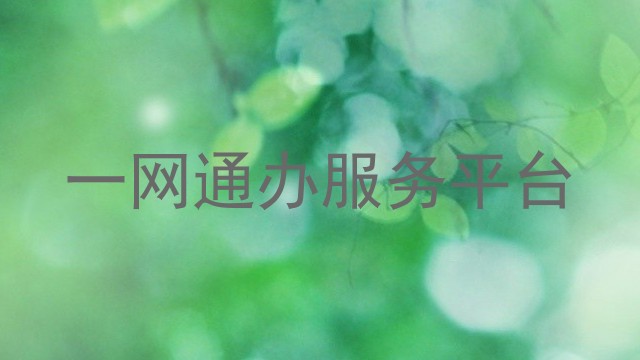 一网通办服务平台