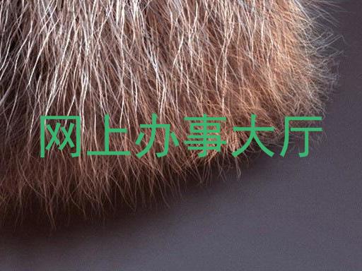 网上办事大厅