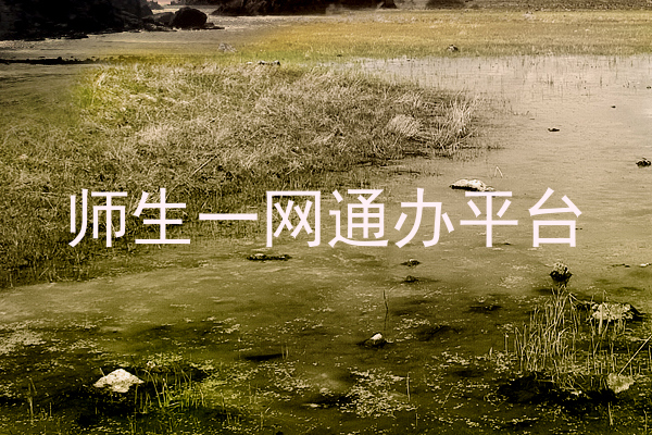 师生一网通办平台