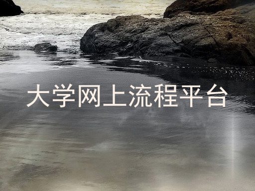 大学网上流程平台