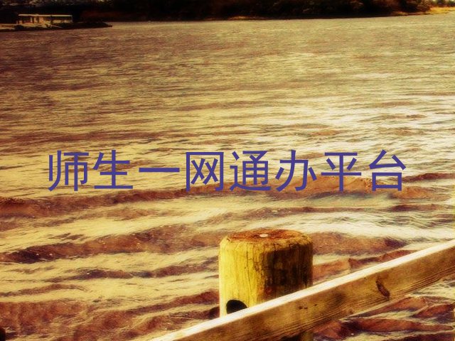 师生一网通办平台