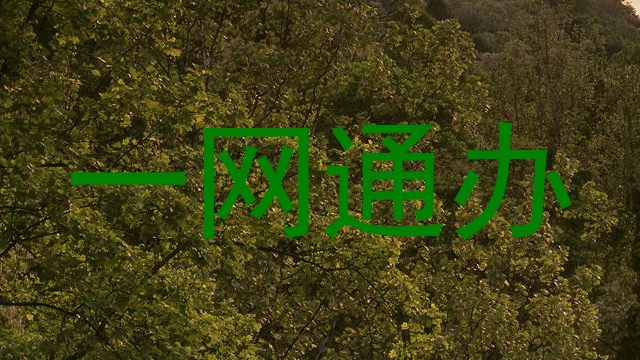 一网通办