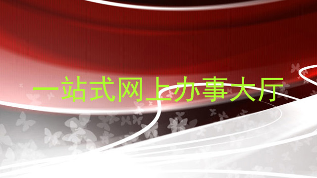 一站式网上办事大厅