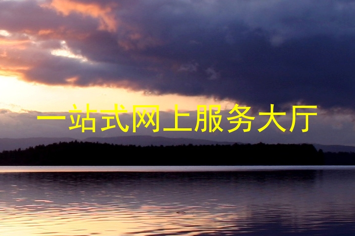 一站式网上服务大厅