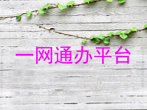 一网通办平台
