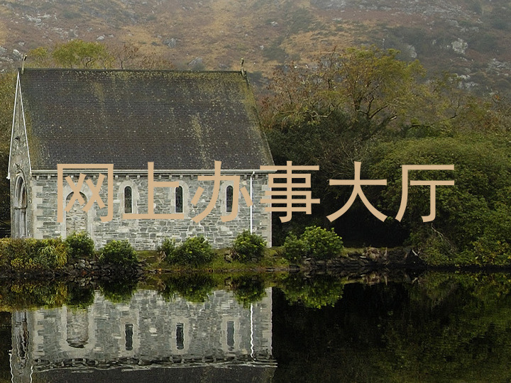 网上办事大厅
