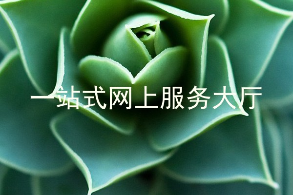 一站式网上服务大厅