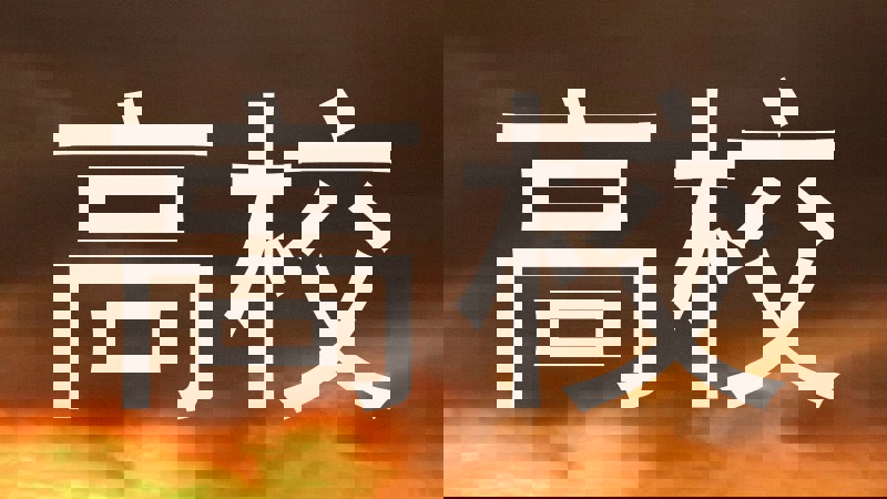 高校