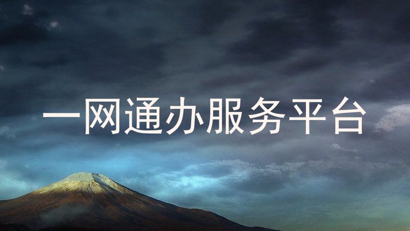 一网通办服务平台