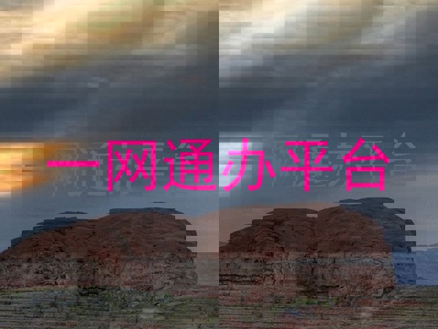 一网通办平台