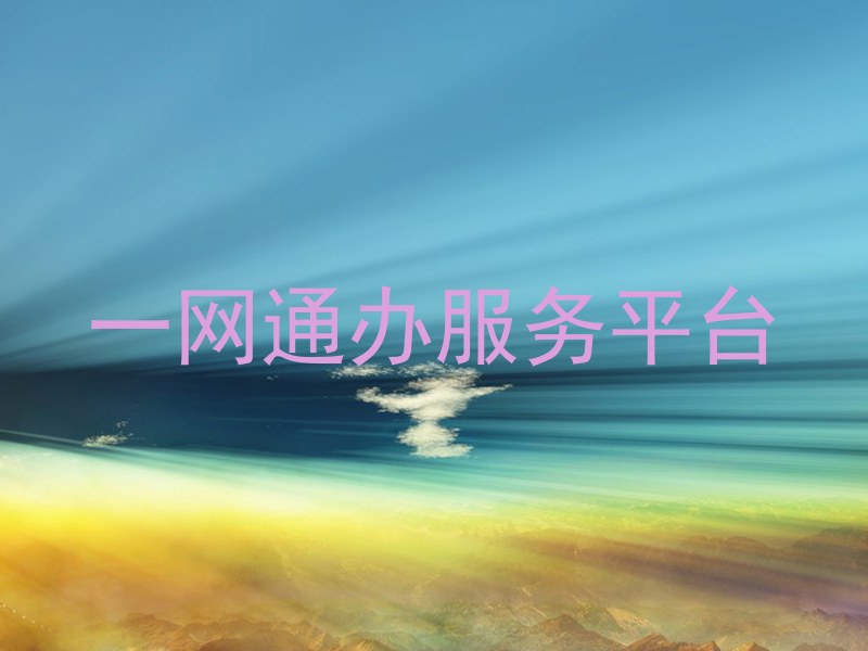 一网通办服务平台