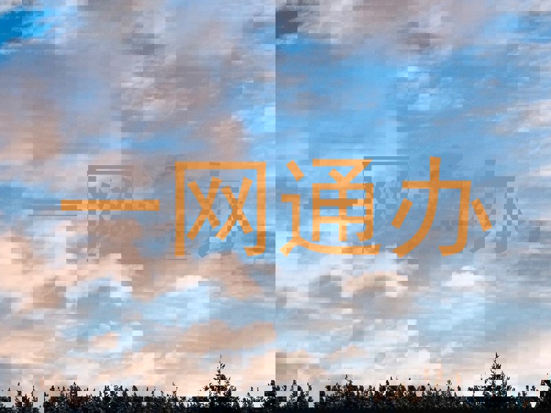 一网通办