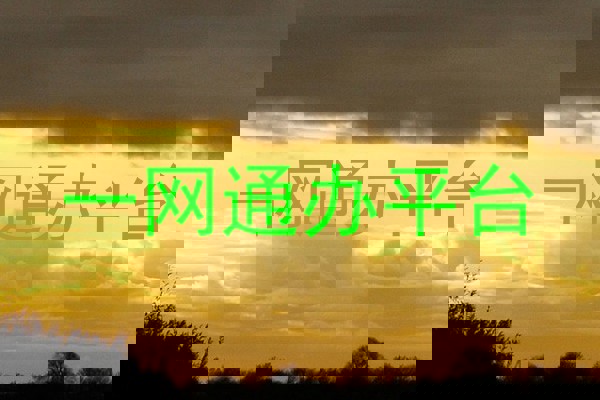 一网通办