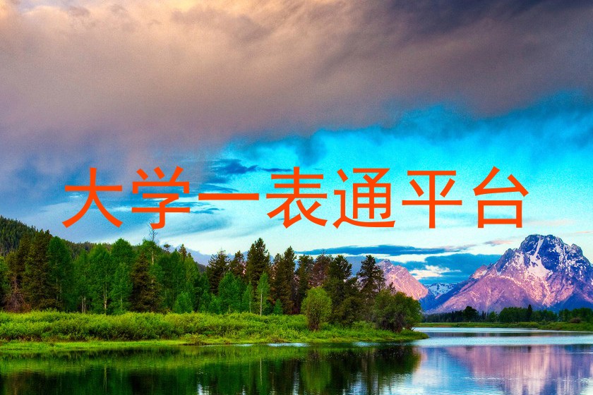 大学一表通平台