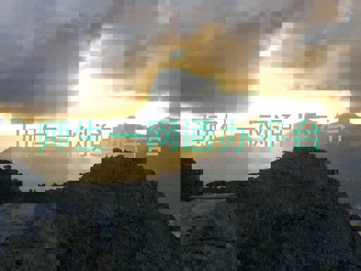 师生一网通办平台