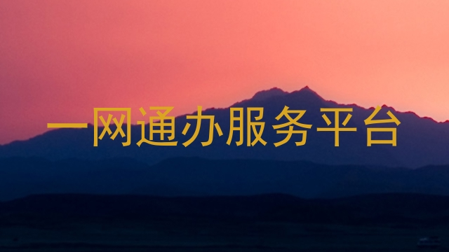 一网通办服务平台