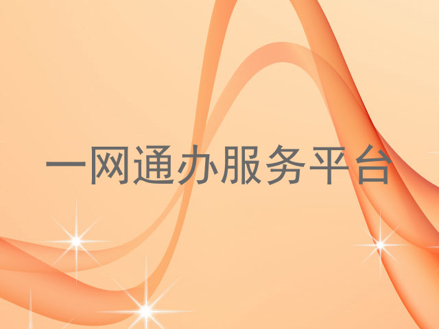 一网通办服务平台