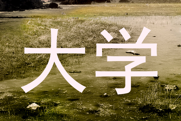 大学