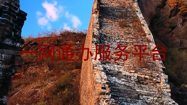 一网通办服务平台
