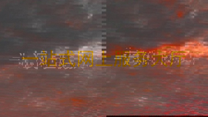 一站式网上服务大厅