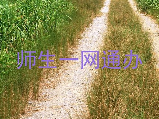 师生一网通办