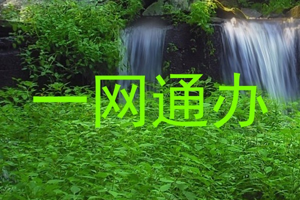 一网通办