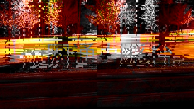 大学一表通平台