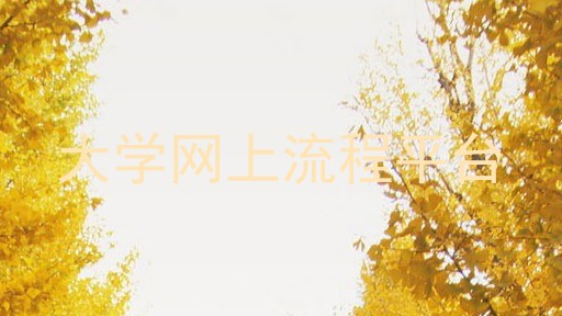 大学网上流程平台