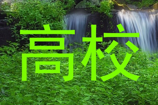 高校
