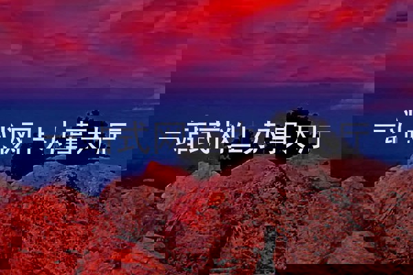 一站式网上办事大厅