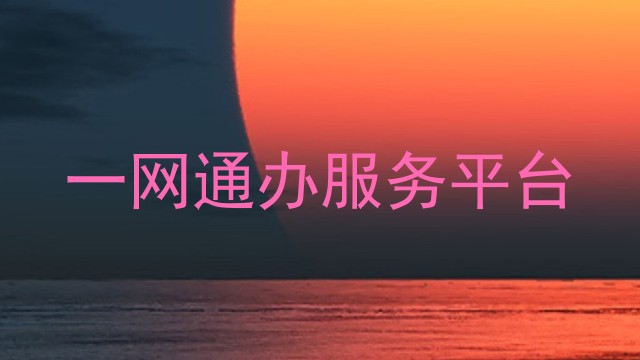 一网通办服务平台