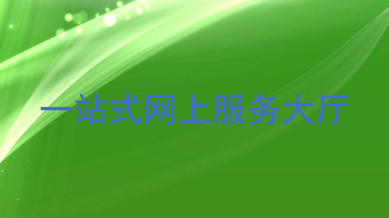 一站式网上服务大厅