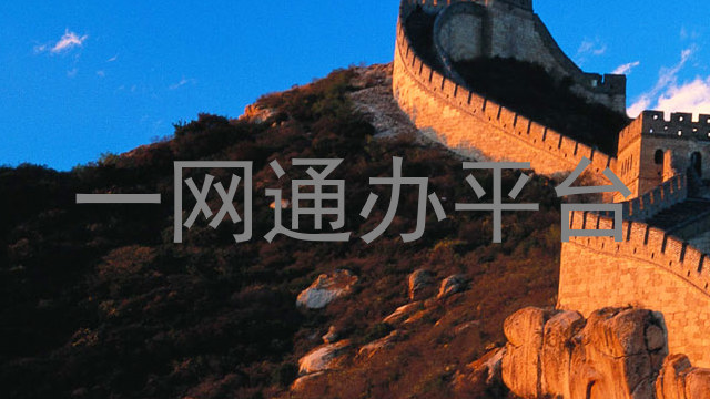 一网通办平台
