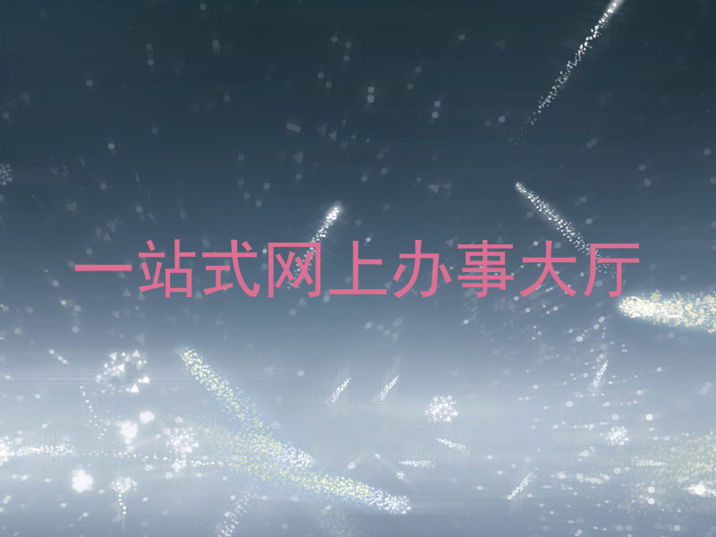 一站式网上办事大厅