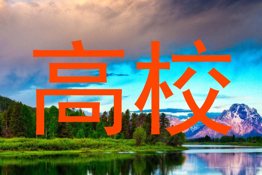 高校