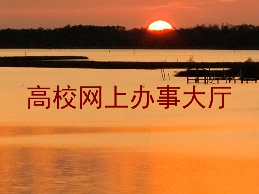 高校网上办事大厅