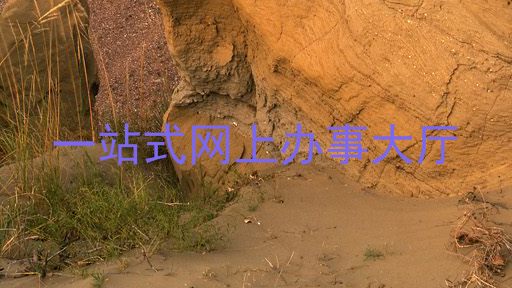 一站式网上办事大厅
