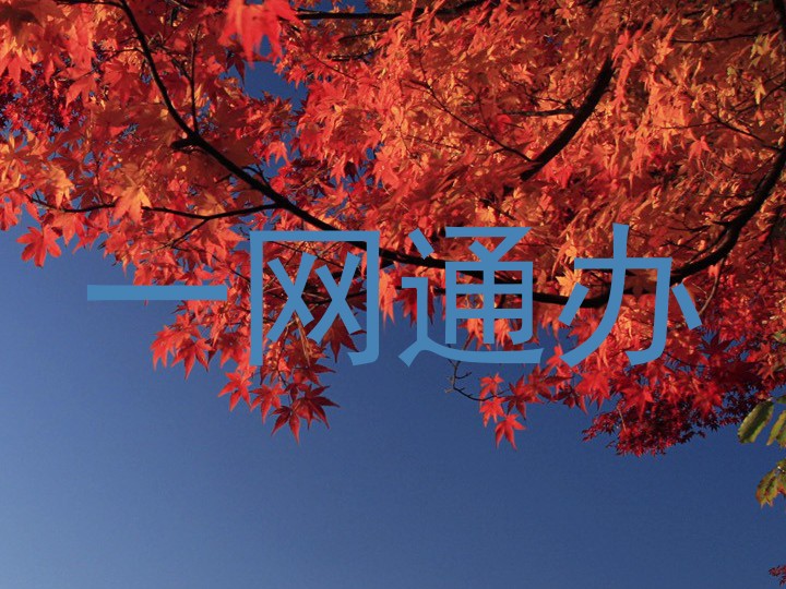 一网通办