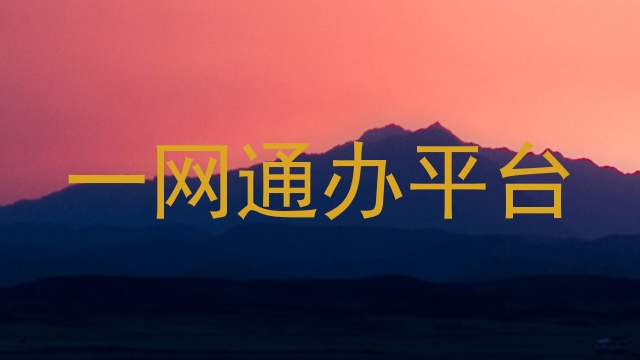 一网通办服务平台