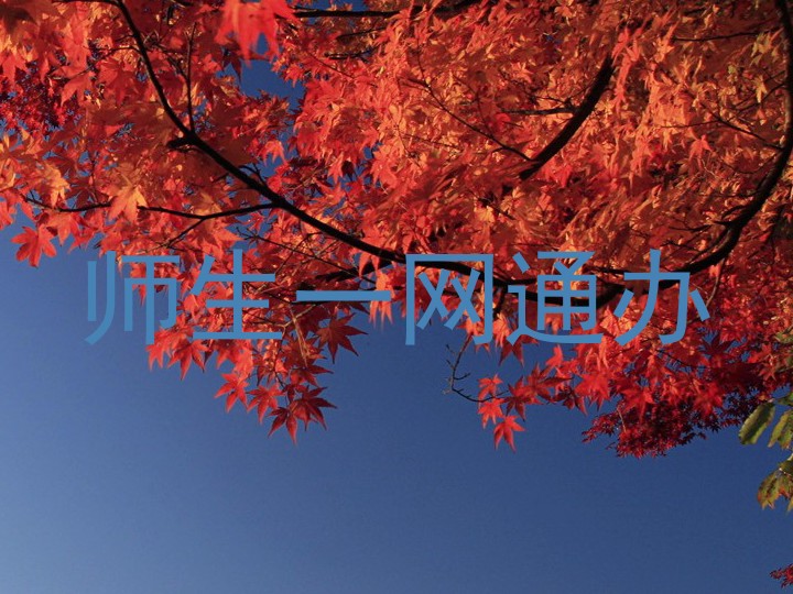 师生一网通办