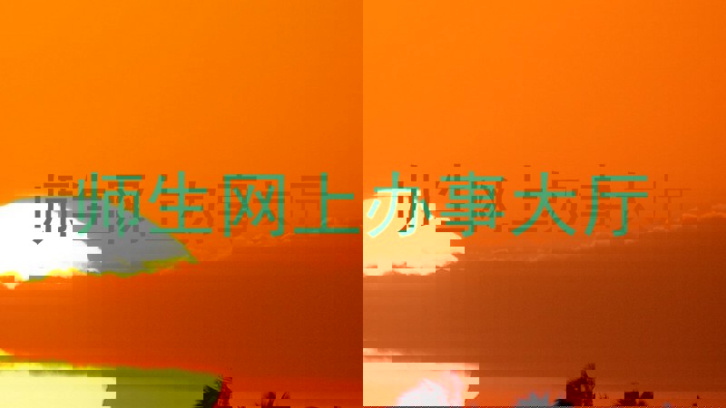 师生网上办事大厅