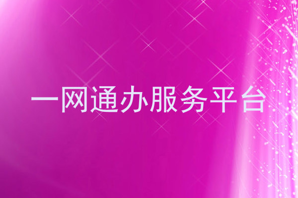 一网通办服务平台